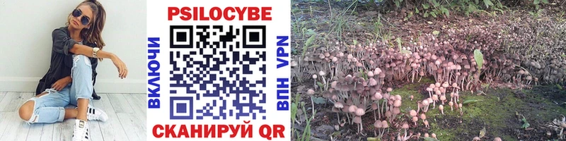 Купить Гусь-Хрустальный Галлюциногенные грибы мицелий